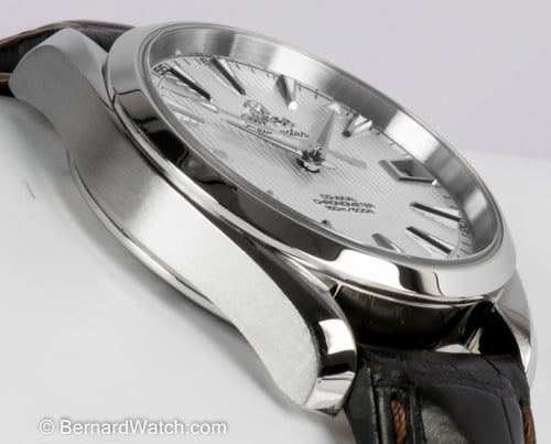 9' Side Shot of Seamaster Aqua Terra 38.5 MM