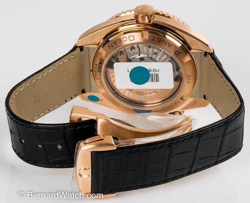 Rear / Band View of Seamaster Planet Ocean Big Size