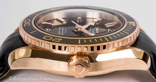 Crown Side Shot of Seamaster Planet Ocean Big Size