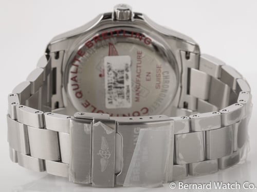 Rear / Band View of Colt Quartz