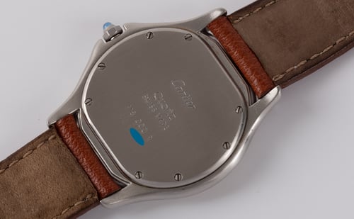 Caseback of Cougar Midsize