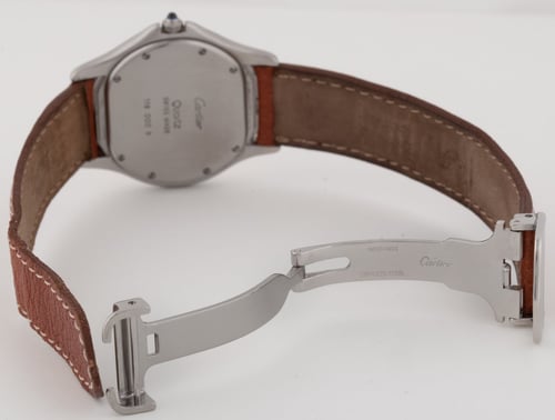 Open Clasp Shot of Cougar Midsize