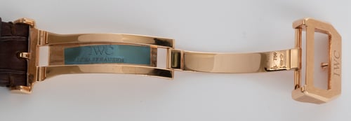 Extra Rear Shot of Portuguese Perpetual Calendar