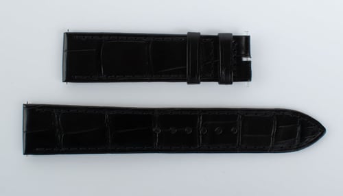 Photo of of Alligator Strap