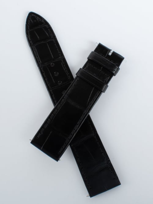 Front View of Alligator Strap