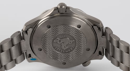 Caseback of Seamaster Professional