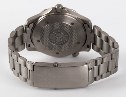 Rear / Band View of Seamaster Professional