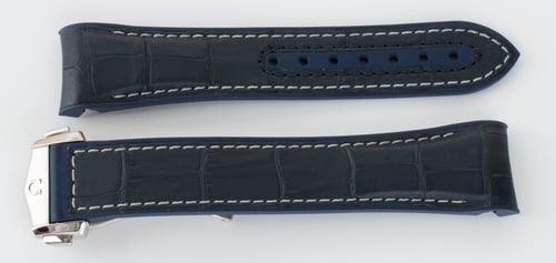Extra Rear Shot of Seamaster Planet Ocean Master 43.5MM