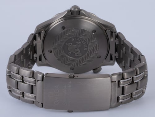 Rear / Band View of Seamaster Professional