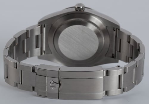 Rear / Band View of Explorer 39MM 'Full Lume'