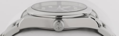 Crown Side Shot of Heritage Black Bay 36