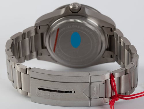 Rear / Band View of Pelagos LHD