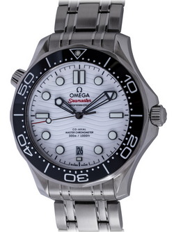 Omega Seamaster GMT 'Great White' : 2538.20